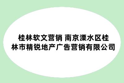 桂林软文营销 南京溧水区桂林市精锐地产广告营销有限公司